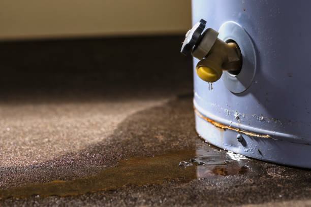 Reliable Margate, FL Water damage restoration Solutions