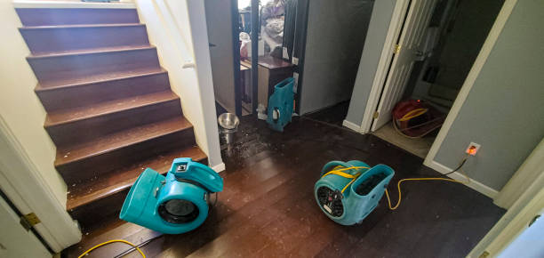 Best Mold removal after water damage  in Margate, FL