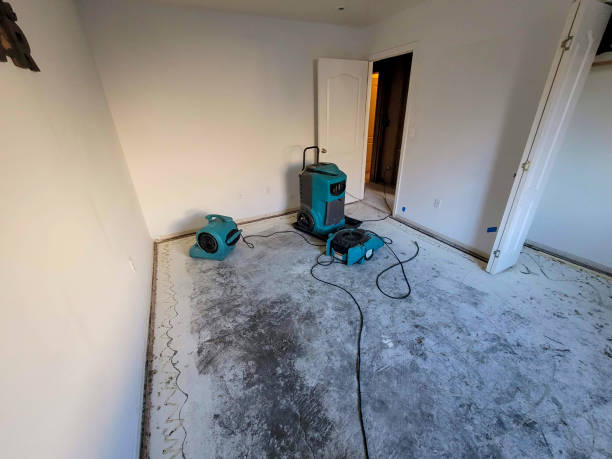 Best Residential water damage restoration  in Margate, FL
