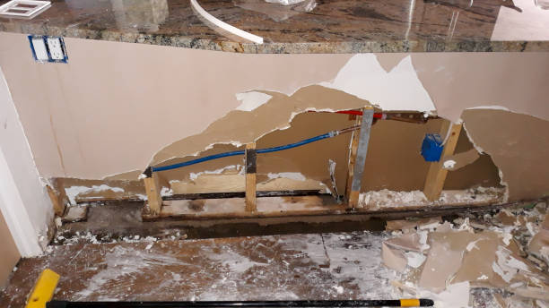 Best Water damage restoration near me  in Margate, FL