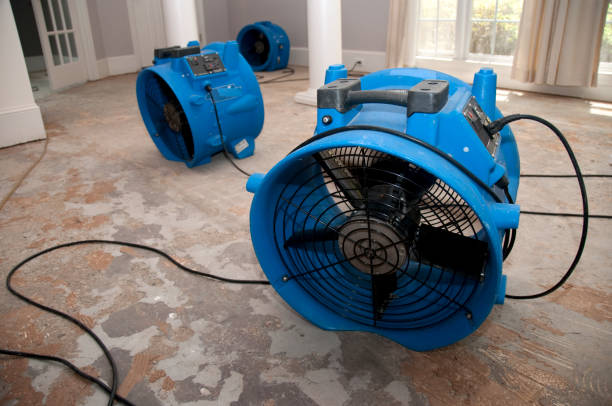 Best Residential water damage restoration  in Margate, FL