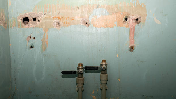 Best Emergency water damage restoration  in Margate, FL