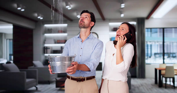 Best Flooded house restoration  in Margate, FL